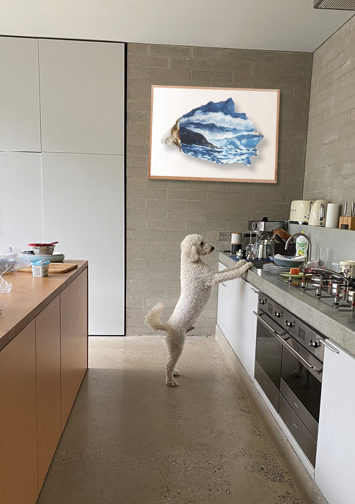 Need to see how it looks before you decide?