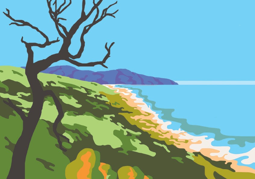 6 PACK GREETING CARD