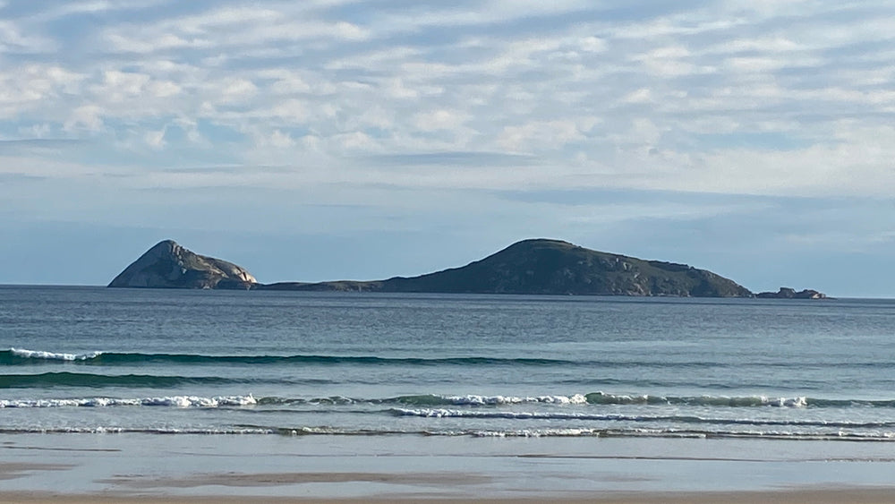 Supply your favourite photo and have it painted on an Oyster shell